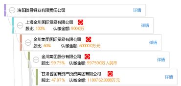 洛陽(yáng)隴昌銅業(yè)有限責(zé)任公司 以品質(zhì)與創(chuàng)新引領(lǐng)銅業(yè)發(fā)展